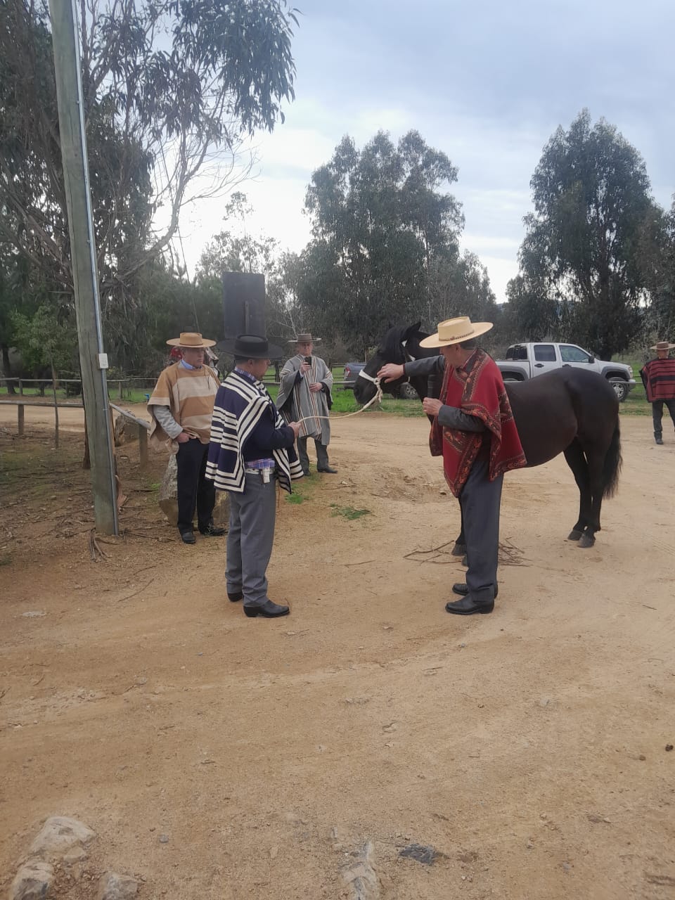Fotografía 3 del álbum de Actividad de la Asociación San Javier de Loncomilla