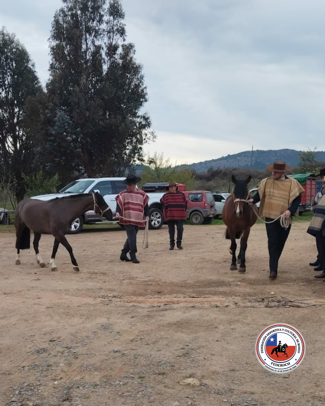 Fotografía 8 del álbum de Actividad de la Asociación San Javier de Loncomilla