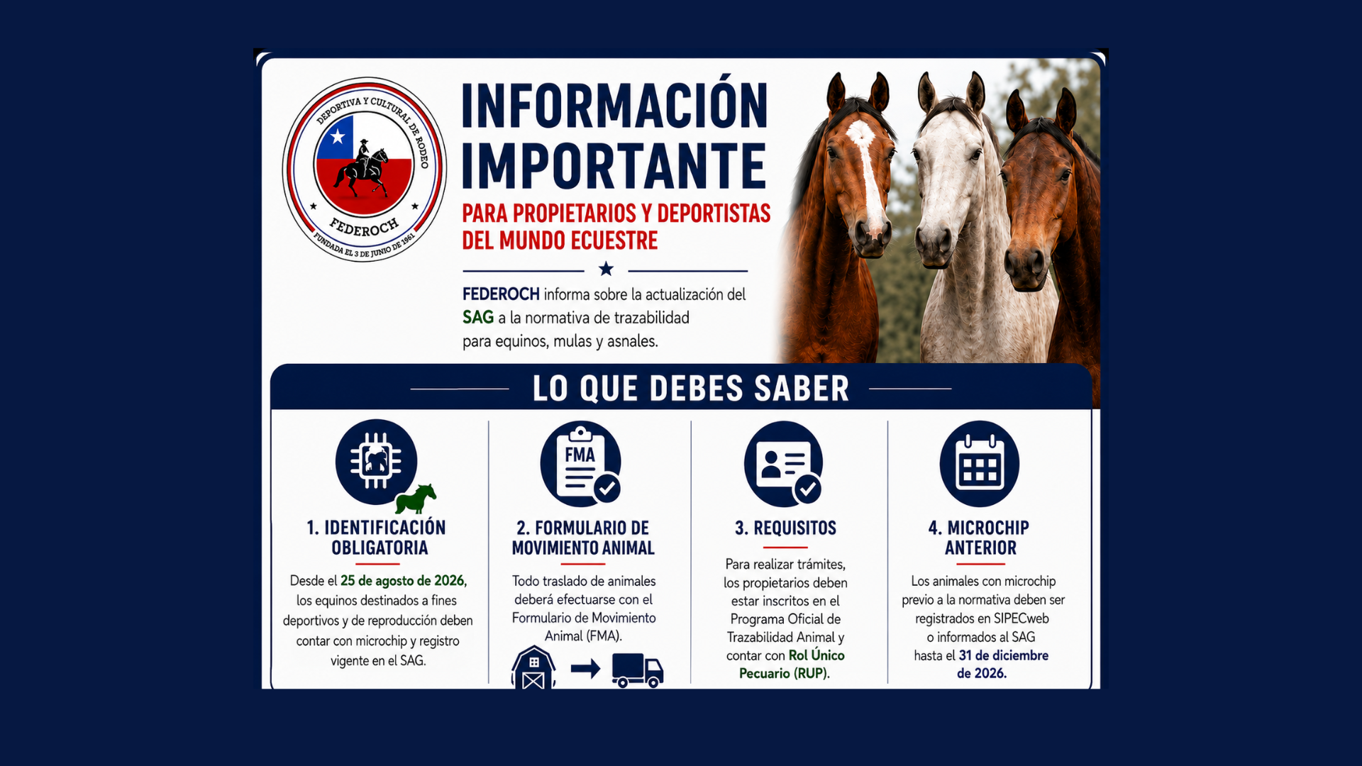 Fotografía de Informacion sobre actualización de normativa de trazabilidad equina del SAG